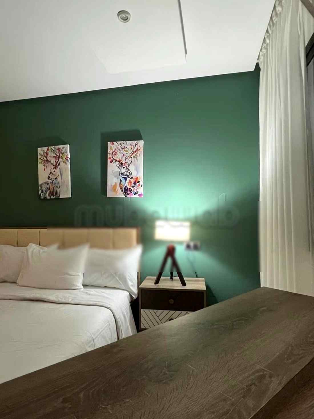 Studio à louer à bourgogne - Photo 7