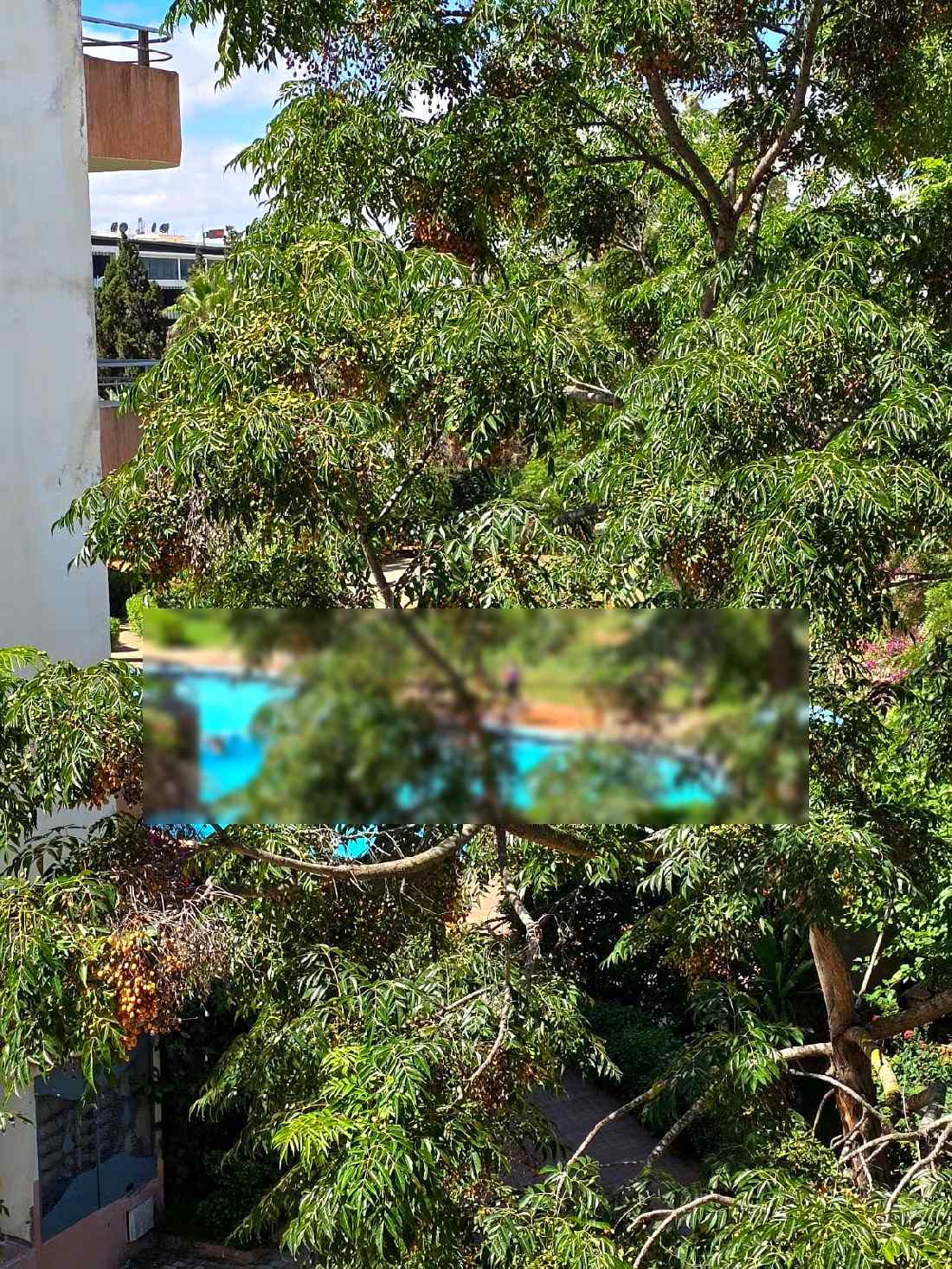 Appart meublé pour les vacances avec piscine - Photo 9