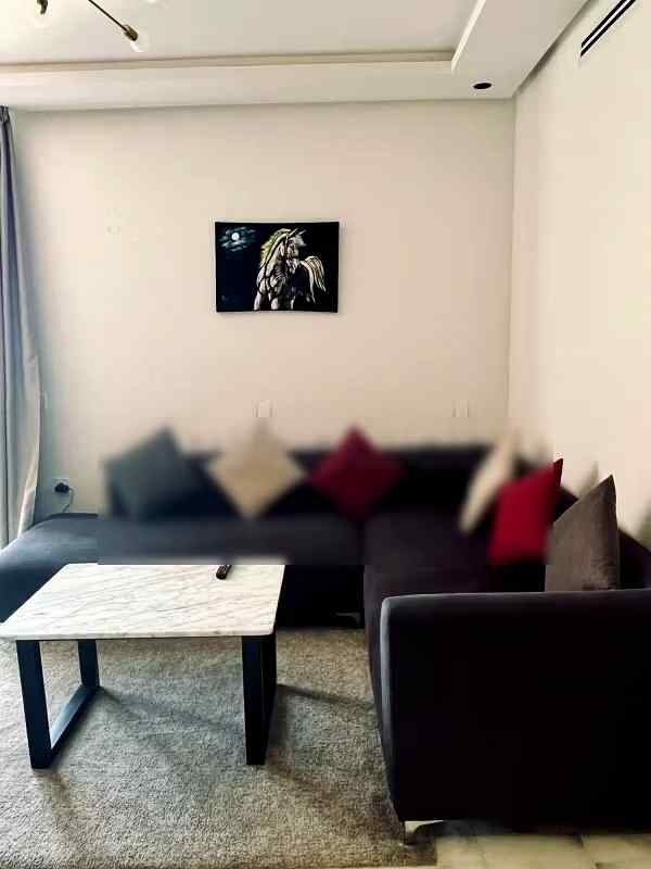 Appartements de vacances à louer  - Oasis, Casablanca - Photo 139