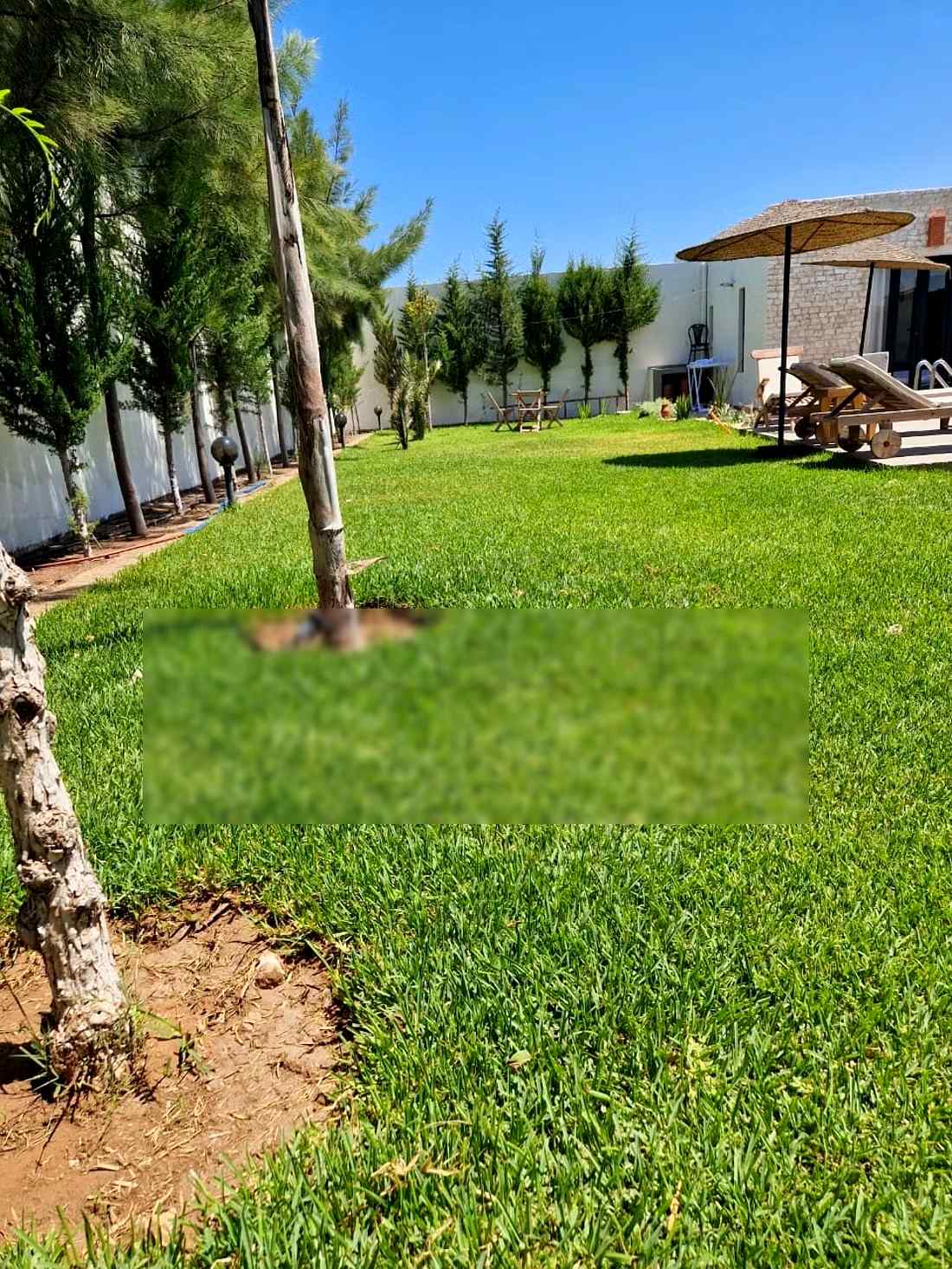 Villas de luxe à louer à Ghazoua. 4 pièces. Nombres minimum de nuits 2