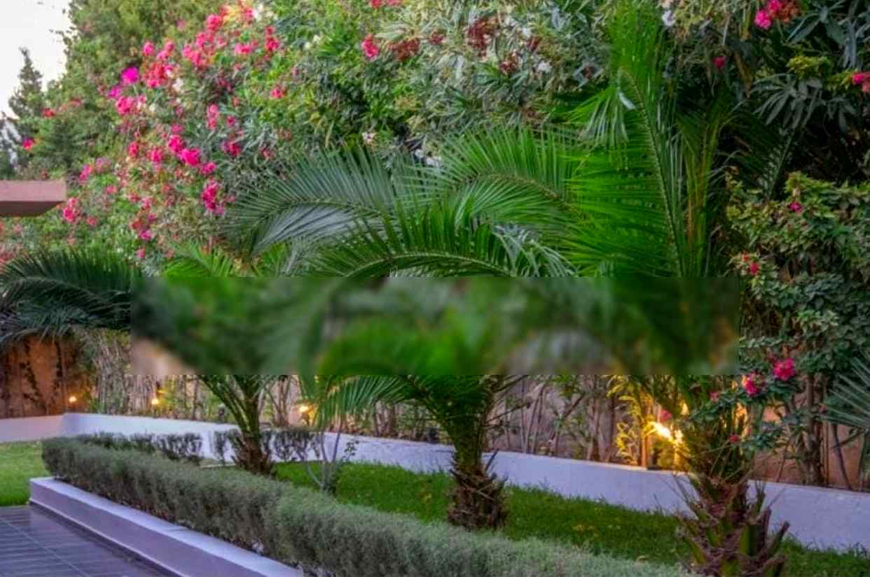Magnifique villa avec piscine privée à 10min d'Essaouira - Photo 8