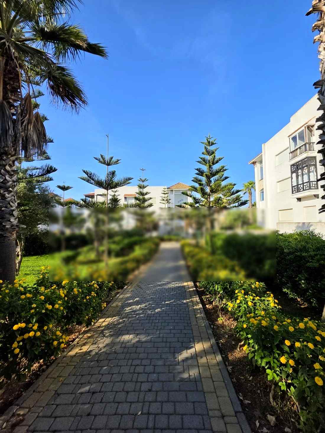 Location et vente marina golf asilah - Photo 3