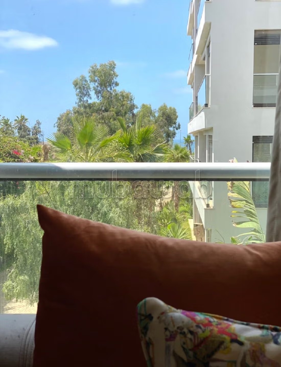 Palm suite - Photo 10