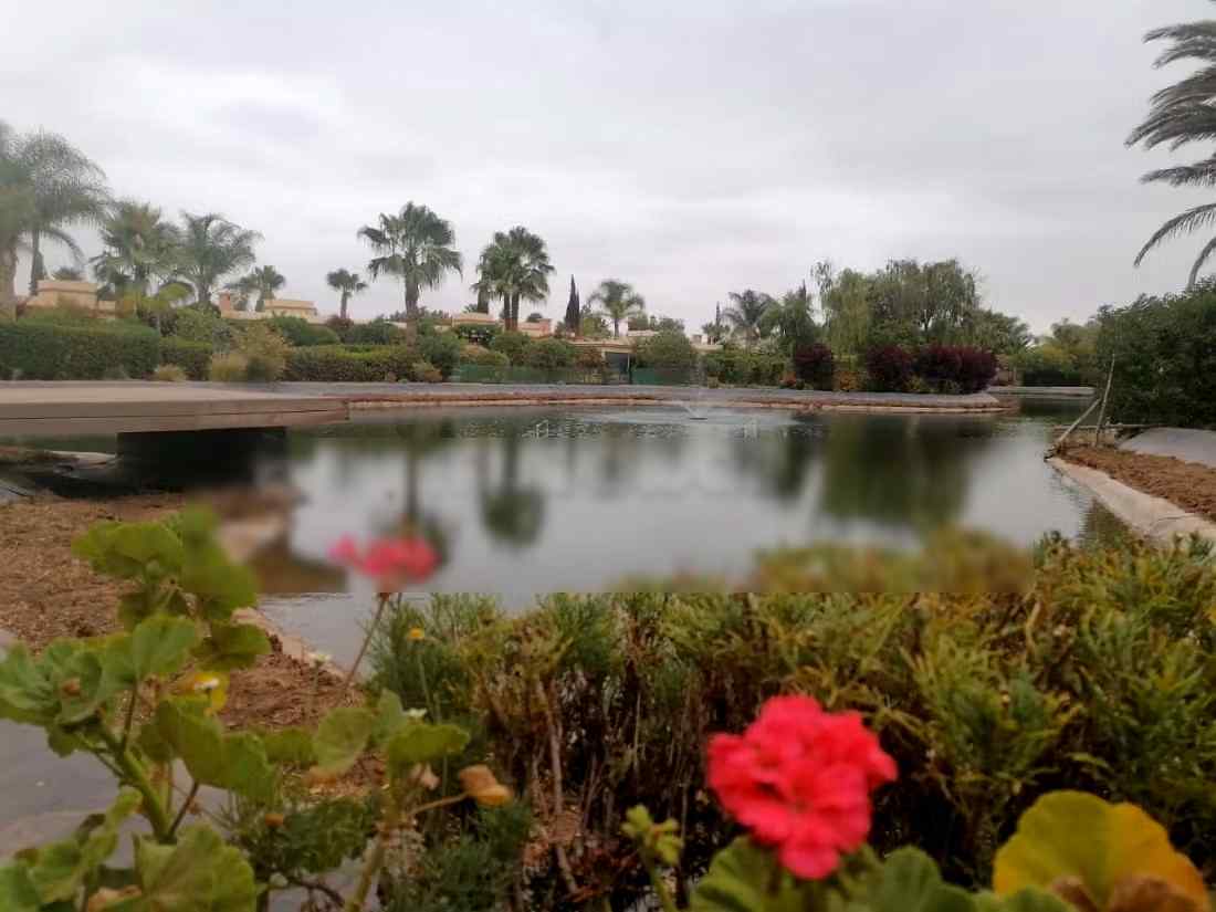 Appartements de vacances à louer  - Hay Dakhla, Agadir - Photo 385