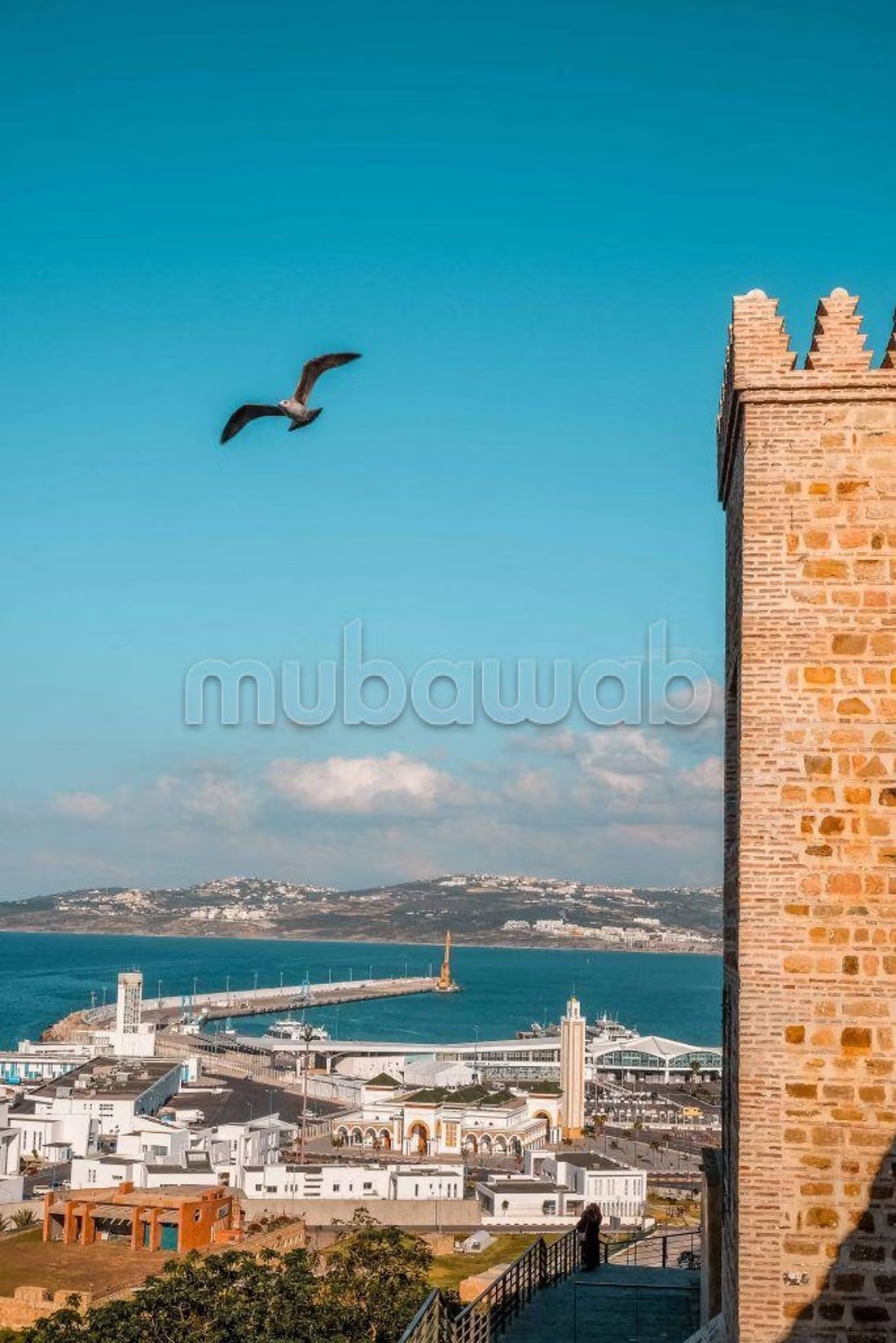Appartements de vacances à louer  - Administratif, Tanger - Photo 403