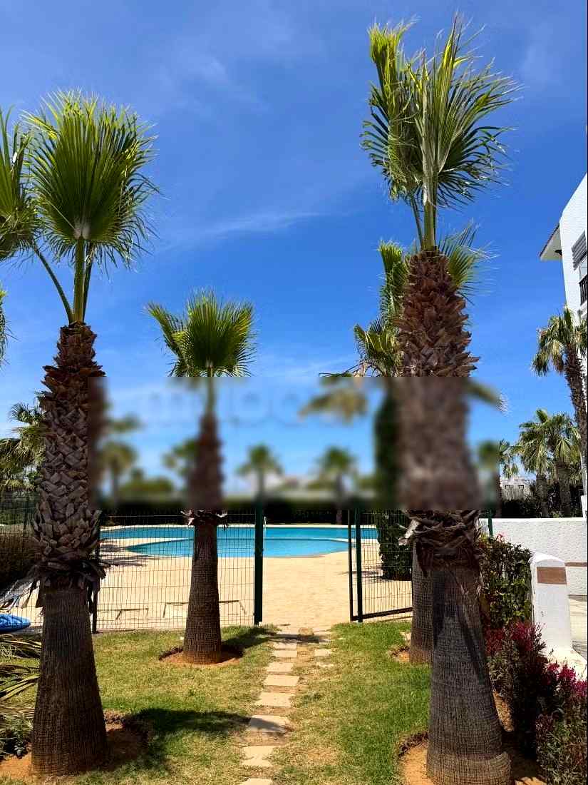 Appartements de vacances à louer à Asilah - Photo 18