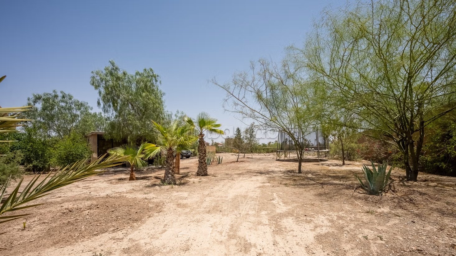 Palmeraie Villa 4 suites - Photo 14